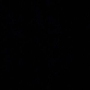 Meet your Posher, Blake